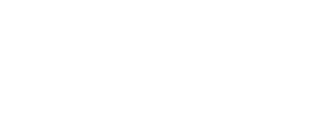 Anvir Bashundhara Group Logo